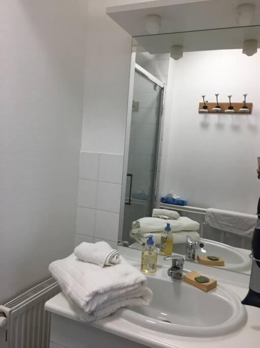 Bel Appartement Climatise Plein Centre Ville Poitiers Zewnętrze zdjęcie